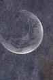 7778b547-f485-46bc-b016-ff7d64c59099-Max-Origin